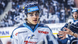 pERÉZ Jaromír Pérez